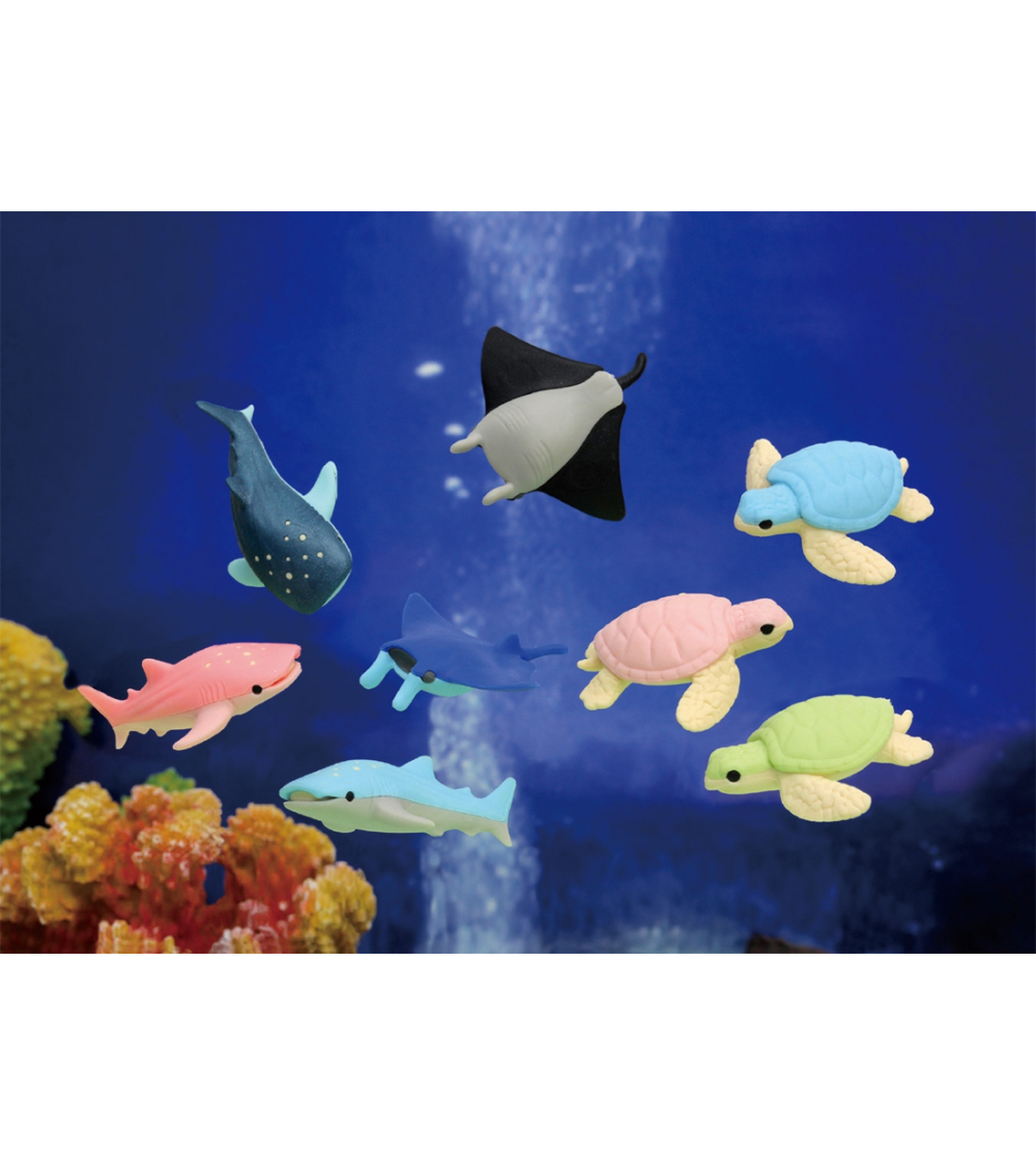Set of 3 IWAKO erasers "Aquarium"