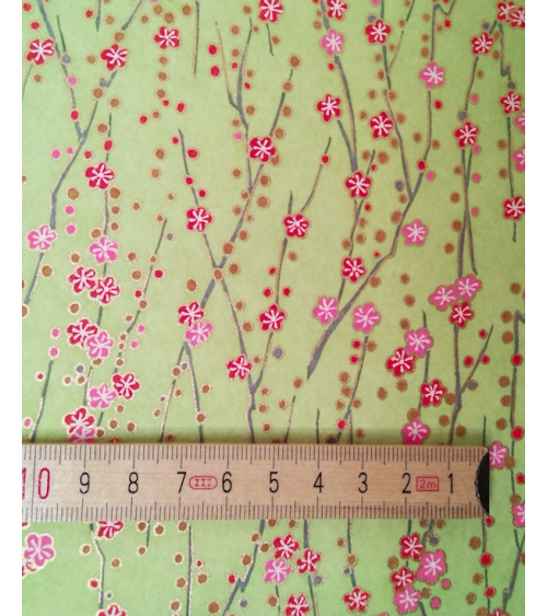 Chiyogami paper of red and pink flowers over pale green
