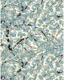 Chiyogami paper with blue ume on beige